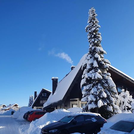 Ferienhaus-Schoenwald Im Herzen Des Schwarzwaldes 1Zimmer Wohnung Mit Terrasse App17 Exteriör bild