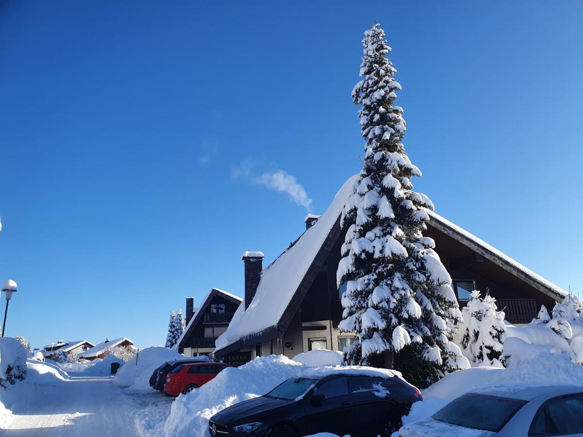 Ferienhaus-Schoenwald Im Herzen Des Schwarzwaldes 1Zimmer Wohnung Mit Terrasse App17 Exteriör bild